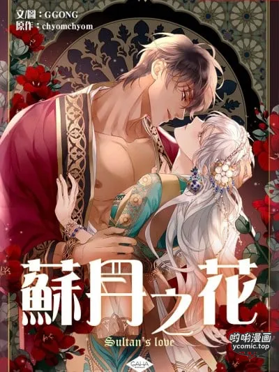 蘇丹之花/술탄의 꽃