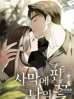 我那綻放的沙漠之花