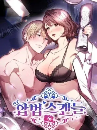 合法醜聞