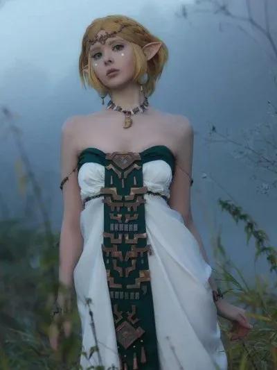 Vinnegal - Zelda